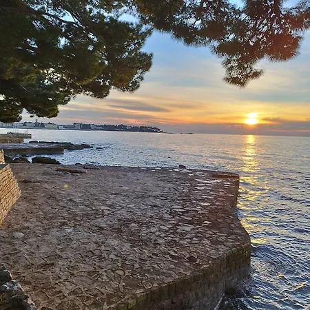 Koza 100m From The Porec