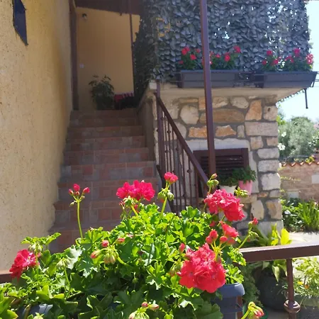 Apartment Koza 100m From The *