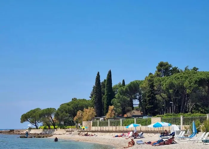 Koza 100m From The *