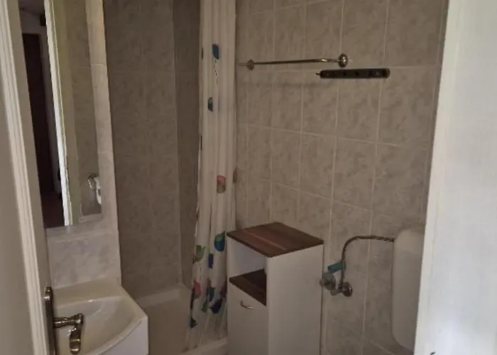 Koza 100m From The *