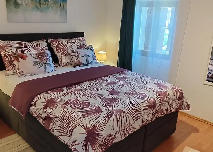 Koza 100m From The *