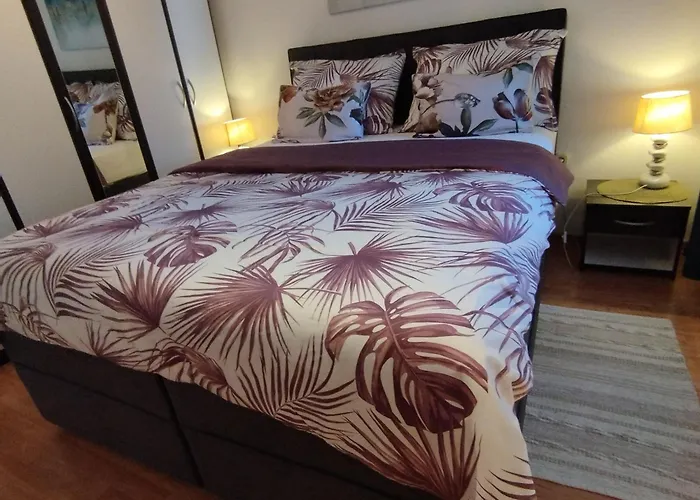 Koza 100m From The アパート